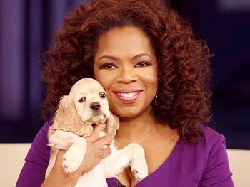 Fake Oprah Winfrey. I am here to fix all of your problems.