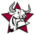 go bulls