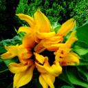 julia levy - @benjaman09 - Twitter