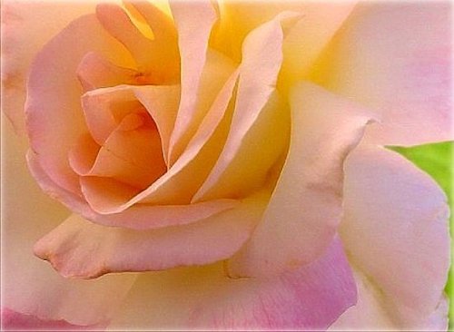 blueagapanthi's profile picture. 