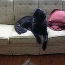 Skip Adams - @Exeagle - Twitter