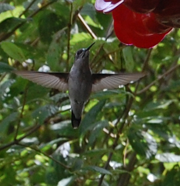 iyakenny's profile picture. 