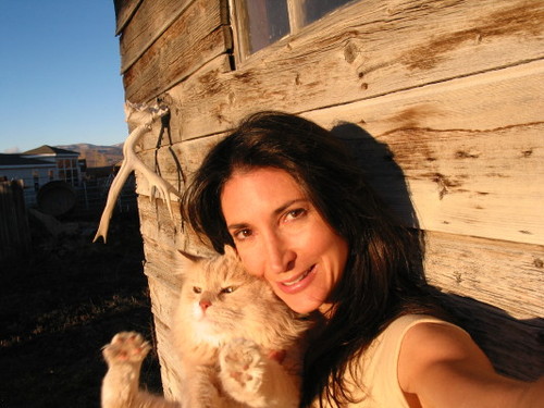 katkellygreen's profile picture. 