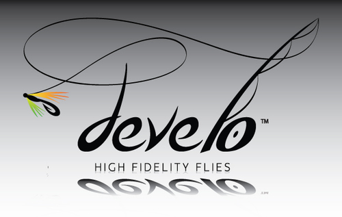 DeveloFlyFish's profile picture. 