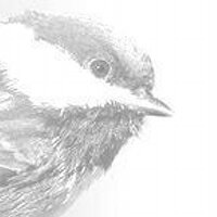 Lurker (@preydrive) 's Twitter Profile