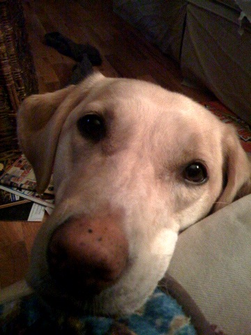 HughLoomis's profile picture. New to Twitter, any help appreciated