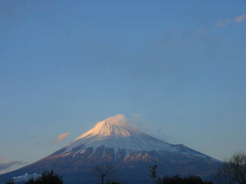 gluca54's profile picture. 