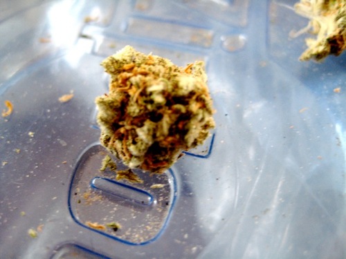 HooeyDuck's profile picture. My name is Hooey and some people say I'm a character.  Dude, my name is Hooey.