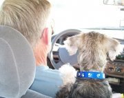 bobnstar's profile picture. 