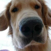 Paul Oyer (@pauloyer) 's Twitter Profile