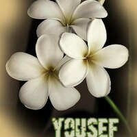 yousef(@souriaboy) 's Twitter Profile Photo