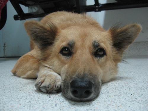 cookiesalon's profile picture. 