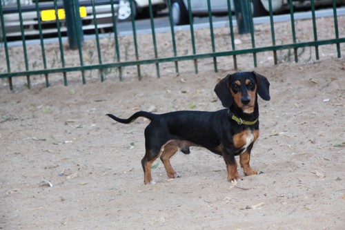 ogi_wan_kenobi's profile picture. 