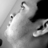 abhijitbansod's profile image