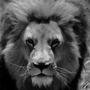 Bruce Kay - @Chipesa - Twitter