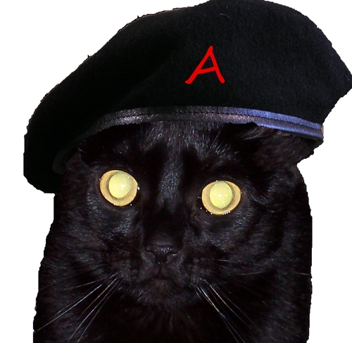 I'm a cat. I'm an atheist cat. And I provide the best atheist news and commentary from around the world.