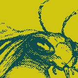 alinejunkod's profile picture. A Parisian gone to Bohemia. A photographer, a designer, a citizen who doesn’t get why the climate emergency isn’t front page news every single day.