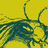 alinejunkod's profile image