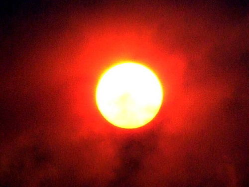 marciofabian's profile picture. 