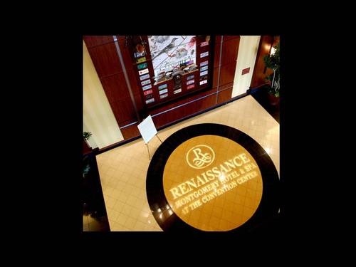 renmontgomeryAV's profile picture. 