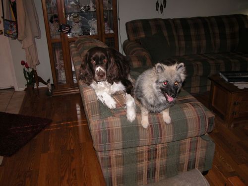 VegasBamaFan's profile picture. Attorney in Las Vegas that loves technology, sports, animals and the outdoors.