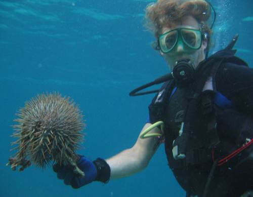 marine biologist, science journalismn, deepwave president (ocean conservation)