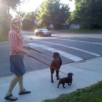 Jaci Webb (@jaci56) Twitter profile photo