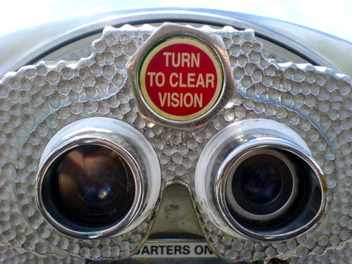 Low vision optometrist and clinical educator extraordinaire