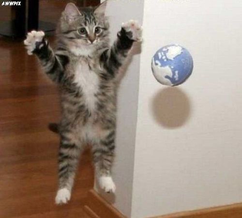 BloodPressureNo's profile picture. Blood Pressure Normalized Revealed: How to Normalize Your Blood Pressure DRUG FREE in 3 Weeks or Less, Using a Safe, Natural, Home Remedy!