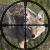 Hunting/Fishing/Trapping Guide Services and Free Varmint removal in VA. We specialize in Coyote, Fox, Bobcat and other predator removal.