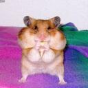 The Dave Way - @The_Dave_Way - Twitter