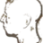 Gugl_Informer's profile image