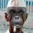 nifformat's profile image