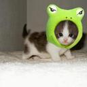 Sophia Garrison - @sophiagarrison - Twitter