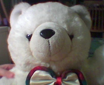 morpheyy's profile picture. 