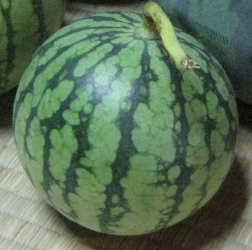 takkyna's profile picture. 好きなもの:車、スタバ、Raspberry pi