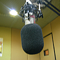 The Radio Show on FM96.5 Mhz. Satuaday 9.00-10.00 am