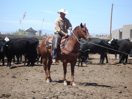 RioSisco's profile picture. 