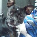 Katrina Cook - @Katrinacook002 - Twitter