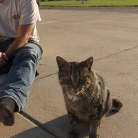 John Crewe (@v8rush) 's Twitter Profile