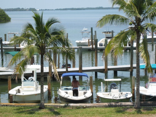Husband, father, grandfather
Artist, musician and internet marketer.  Enjoying the Florida Lifestyle and sharing the beauty with family & friends.