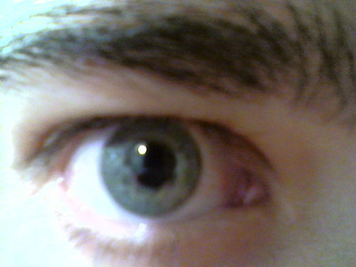 felipelseverino's profile picture. I.T. Professional! Games, books, music, psychology and science enthusiast.