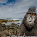 Becca Lyon - @BexLion - Twitter