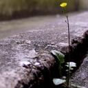 Johnny Mora - @stscslogsdon - Twitter