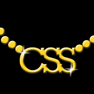 cssswag's profile picture. 