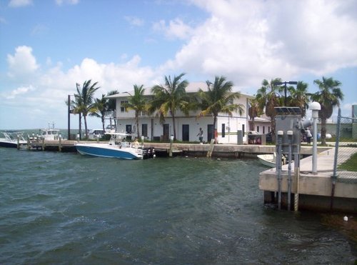 oldboy19's profile picture. 