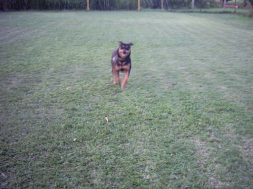 Odanata's profile picture. 