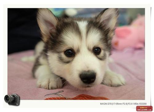 spain_chat's profile picture. free language exchange in http://t.co/jYpFaPYxHW