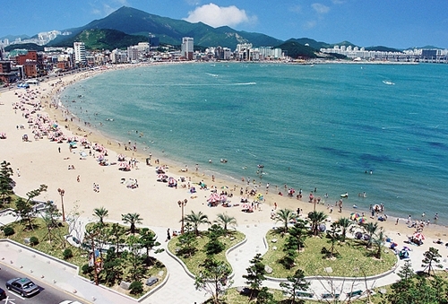 sech2's profile picture. 22