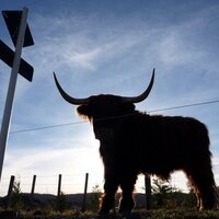 Harry Silver (@harryality) 's Twitter Profile